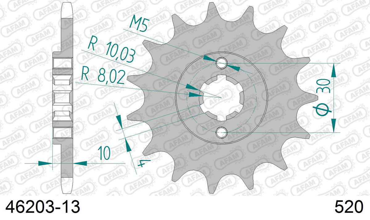 Pignone AFAM 46203-13 passo 520 CAGIVA 125 K7 1989  -1992  