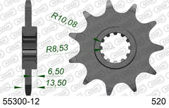 Pignone AFAM 55300-12 passo 520 FANTIC 305 TRIAL KR0 1989