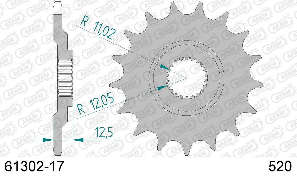 Pignone AFAM 61302-17 passo 520 APRILIA 600 PEGASO 1990  -1992  