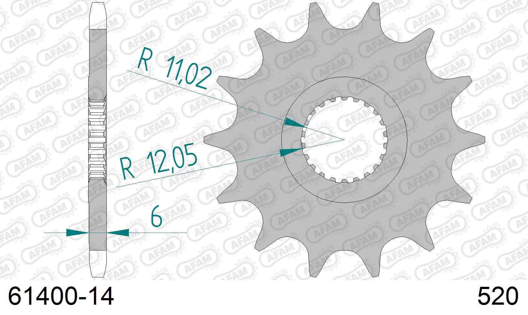 Pignone AFAM 61400-14 passo 520 CAN AM DS 450 2008  -2012  