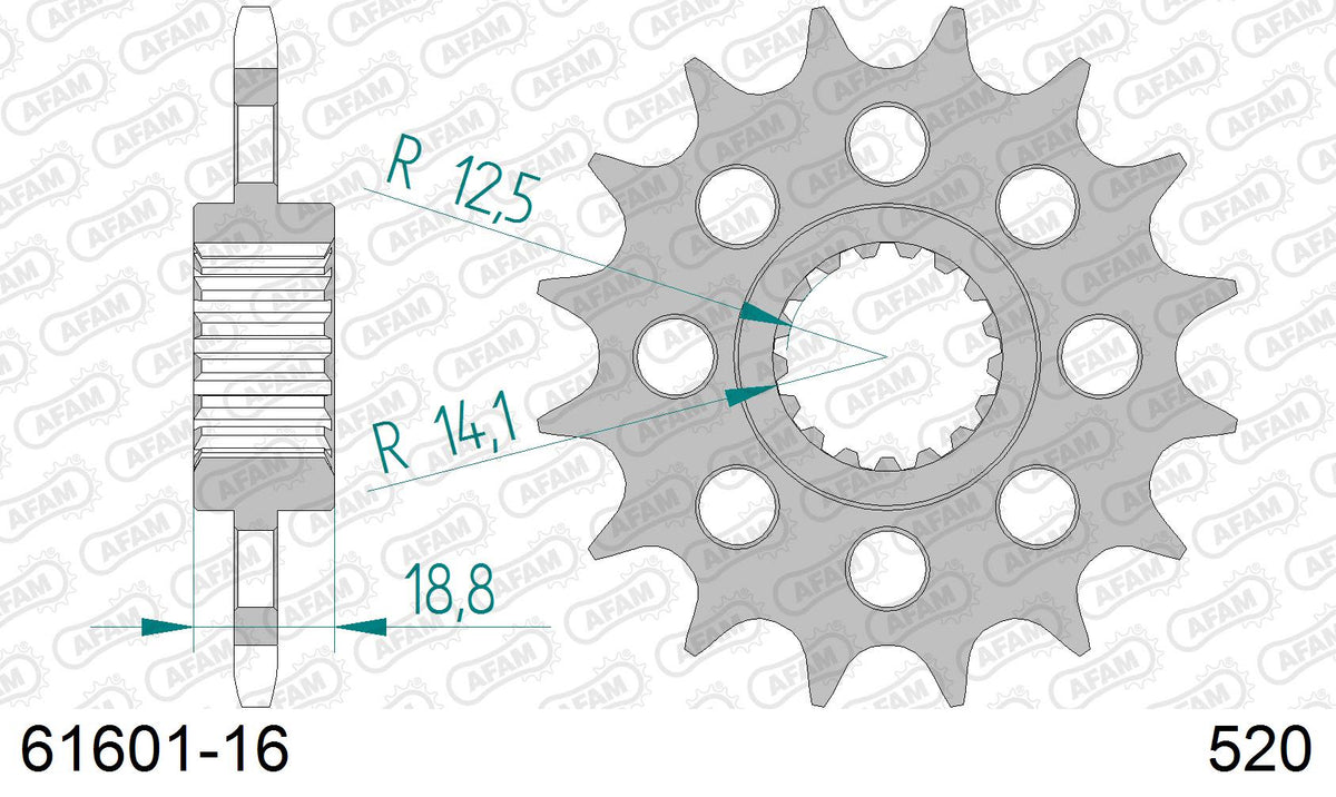 Pignone AFAM 61601-16 passo 520 APRILIA RSV 1000 2004  -2008  