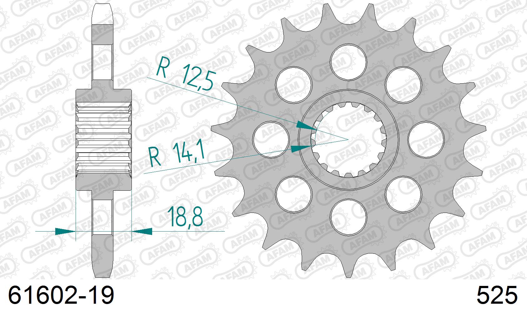 Pignone AFAM 61602-19 passo 525 BMW F 800 R 2015  -2020  