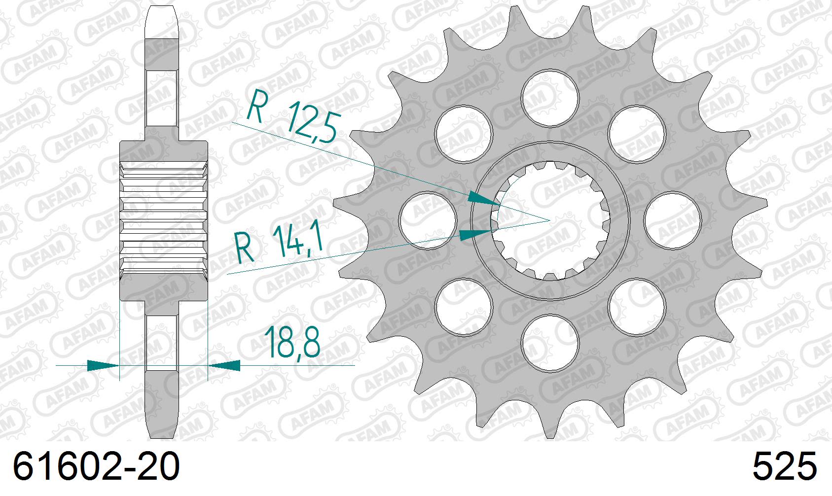 Pignone AFAM 61602-20 passo 525 BMW F 800 R 2005  -2014  