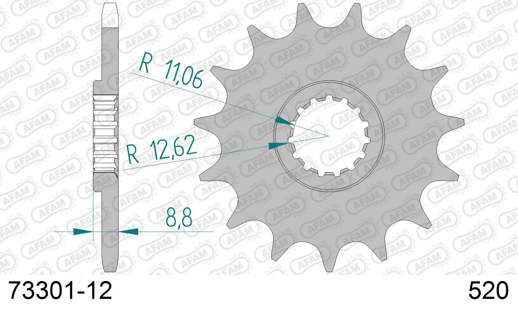 Pignone AFAM 73301-12 passo 520 KTM GS 125 1991  -1993  