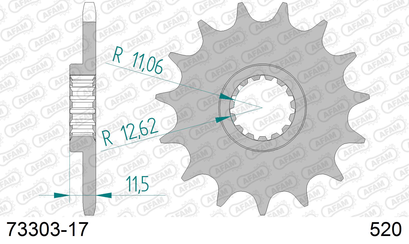 Pignone AFAM 73303-17 passo 520 KTM EGS-E 620 1997