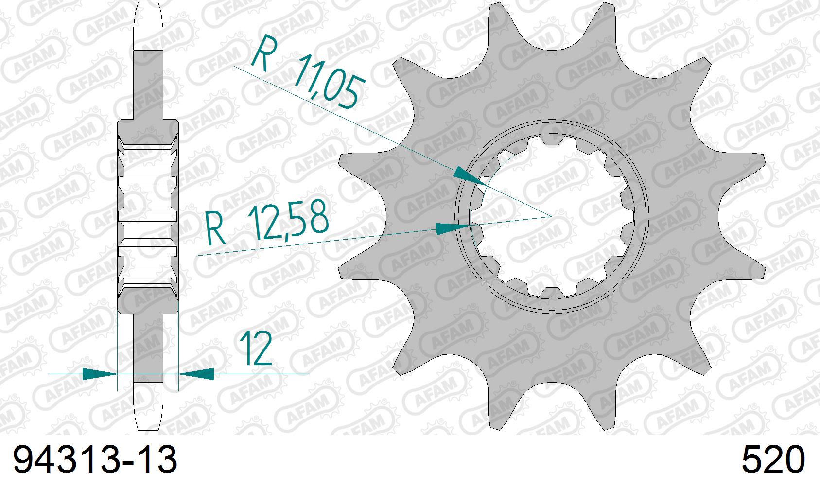 Pignone AFAM 94313-13 passo 520 GAS-GAS EC 200 2000  -2002  