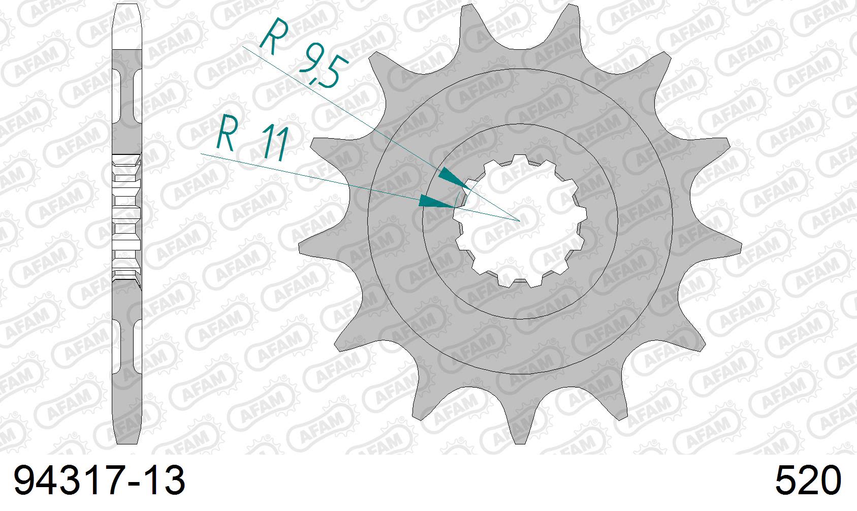 Pignone AFAM 94317-13 passo 520 T.M. EN 250 FI ENDURO 2011  -2020  