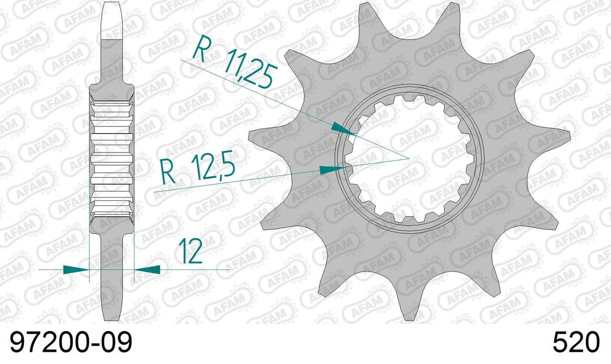 Pignone AFAM 97200-09 passo 520 GAS-GAS TXT 125 PRO 2004