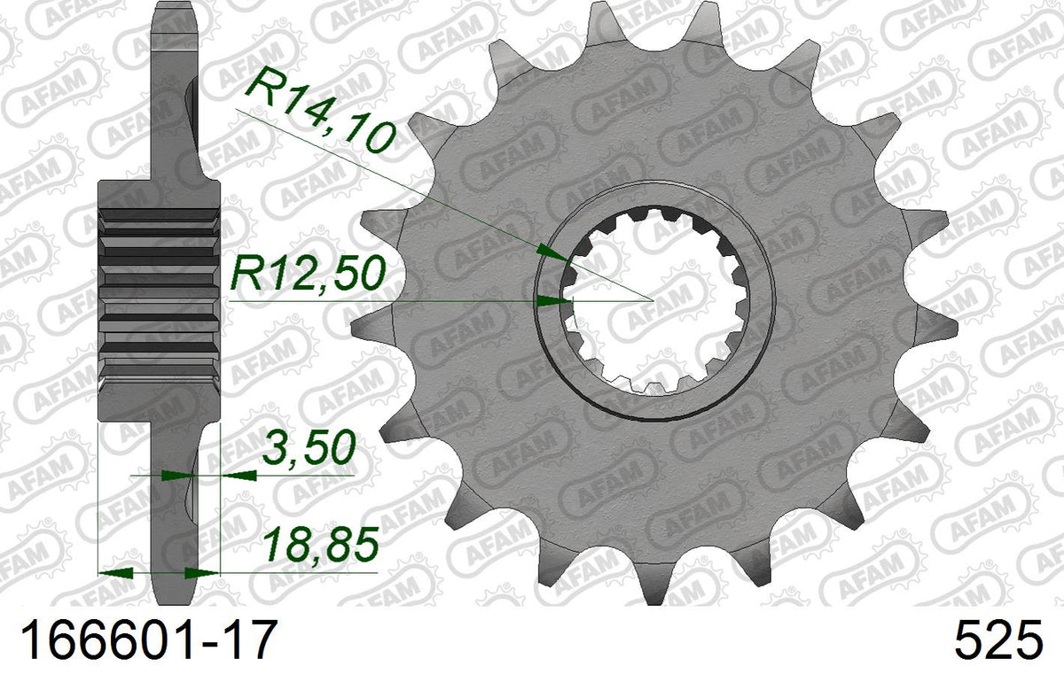 Pignone AFAM 166601-17 Passo 525 BMW F 750 GS 2017  -2022  