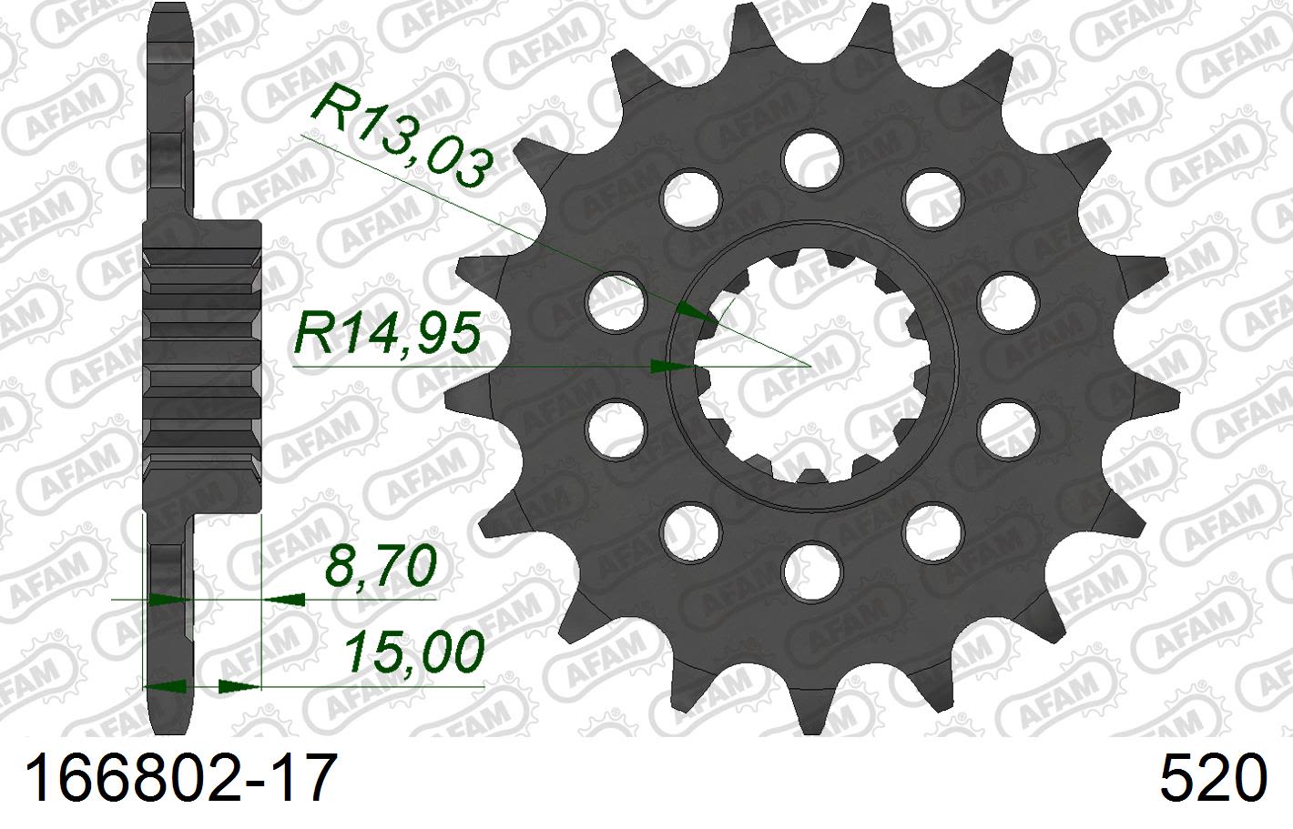 Pignone AFAM 166802-17 Passo 520 BMW M 1000 RR 2021  -2022  