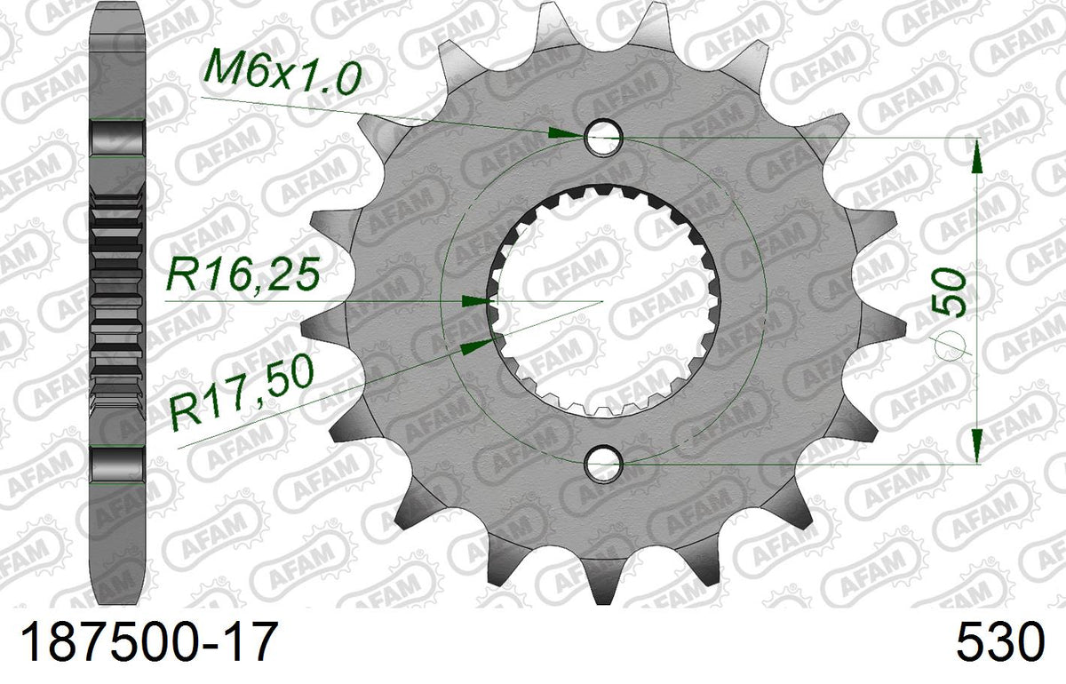 Pignone AFAM 187500-17 Passo 530 ROYAL ENFIELD 500 EFI BULLET 2016  -2018  