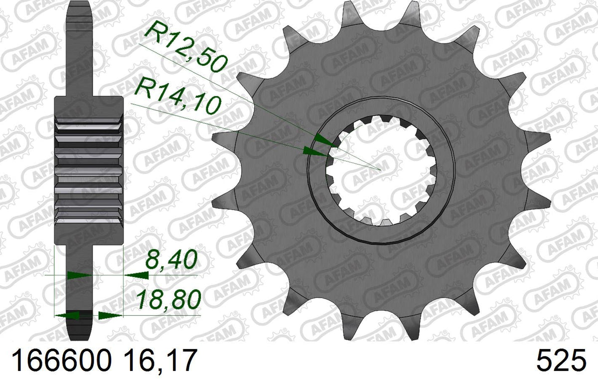 Pignone AFAM 166600NR-17 Passo 525 Con Gomma Antirumore BMW F 650 GS 2006  -2012  