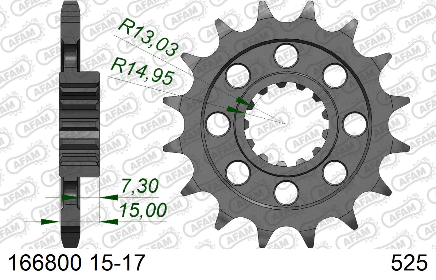 Pignone AFAM 166800NR-17 Passo 525 Con Gomma Antirumore BMW M 1000 RR 2021  -2022  