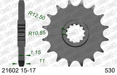 Pignone AFAM 21602NR-17 Passo 530 Con Gomma Antirumore YAMAHA FZR 1000 EXUP 1989  -1997  