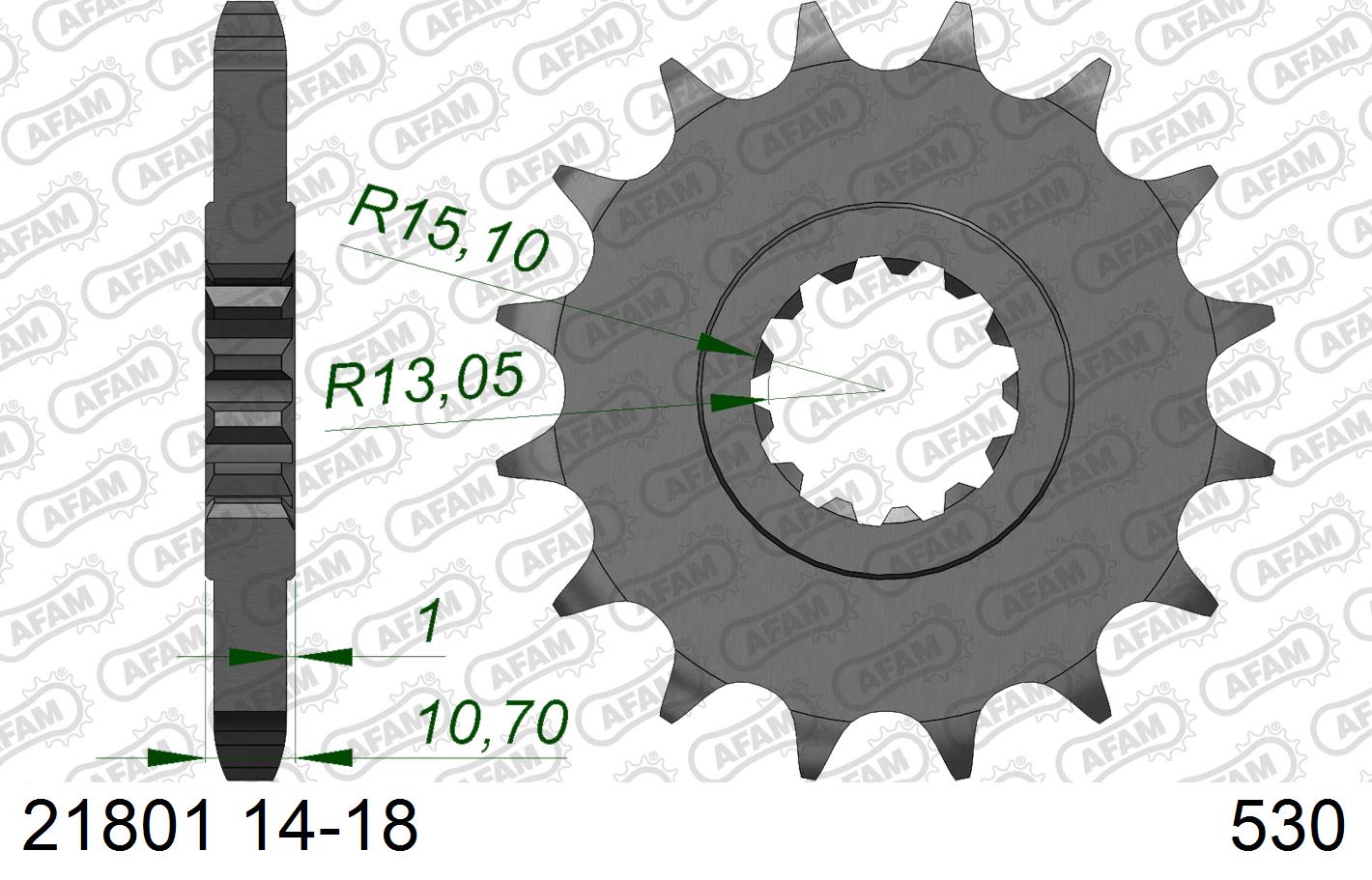 Pignone AFAM 21801NR-16 Passo 530 Con Gomma Antirumore YAMAHA FZS 1000 FAZER 2001  -2006  