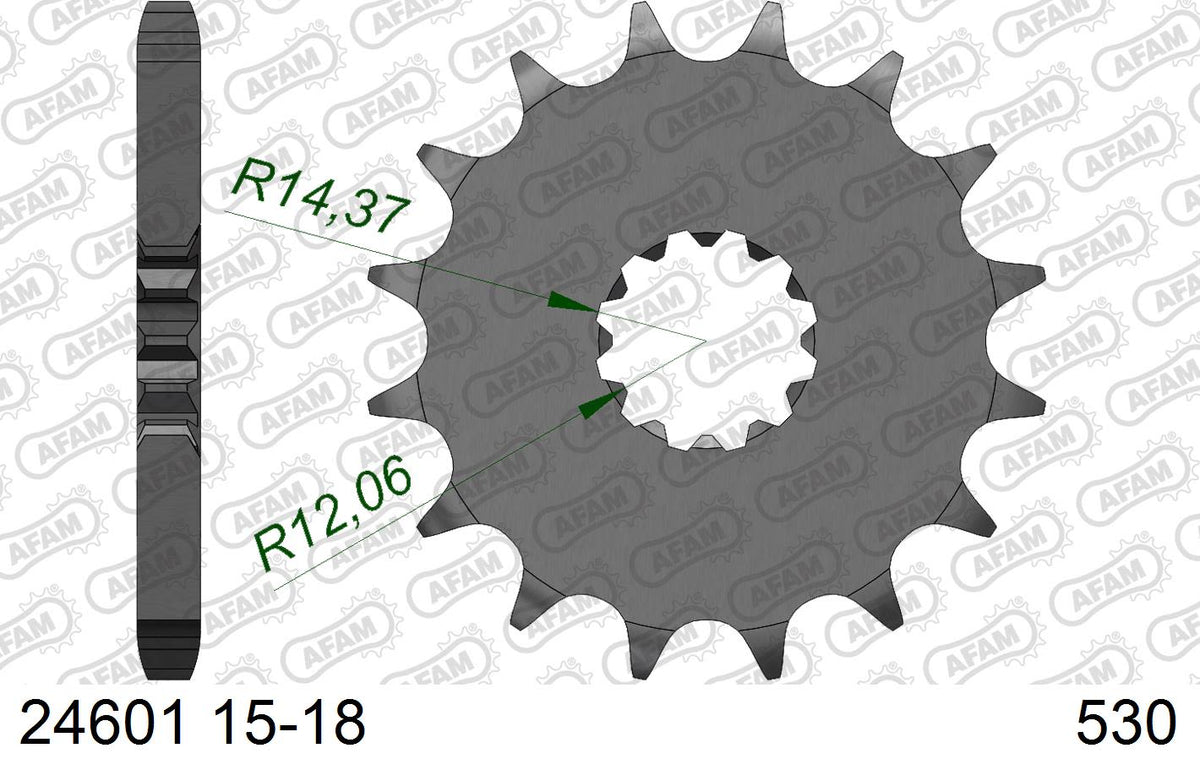 Pignone AFAM 24601NR-16 Passo 530 Con Gomma Antirumore KAWASAKI ZR 1100 ZEPHYR 1992  -2002  