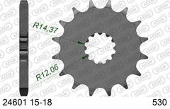 Pignone AFAM 24601NR-18 Passo 530 Con Gomma Antirumore KAWASAKI ZX 12 R 2000  -2006  