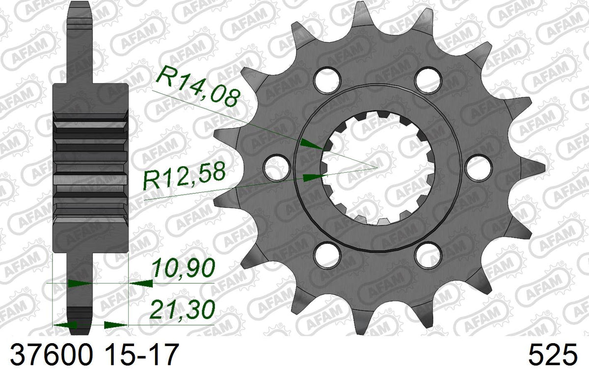 Pignone AFAM 37600NR-15 Passo 525 Con Gomma Antirumore APRILIA 900 DORSODURO ABS 2017  -2020  