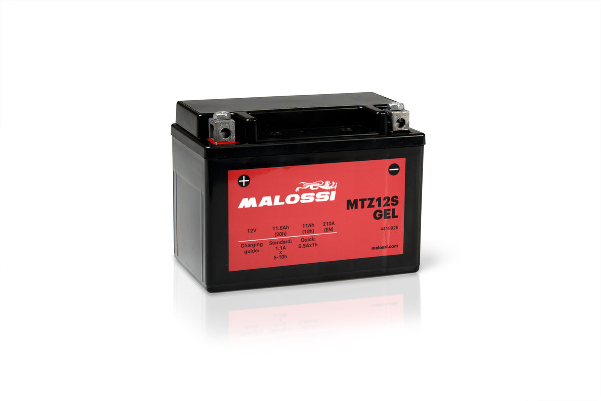 MALOSSI Batteria MTZ12S per Honda Forza 300, SH 300, X-ADV, SIlver Win –  FutureMoto Ricambi