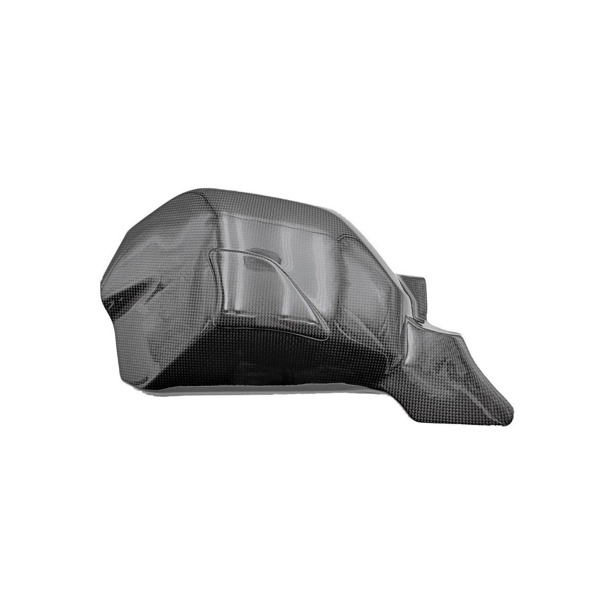 LIGHTECH Protezioni Forcellone in Carbonio per Ducati Streetfighter V4 2020