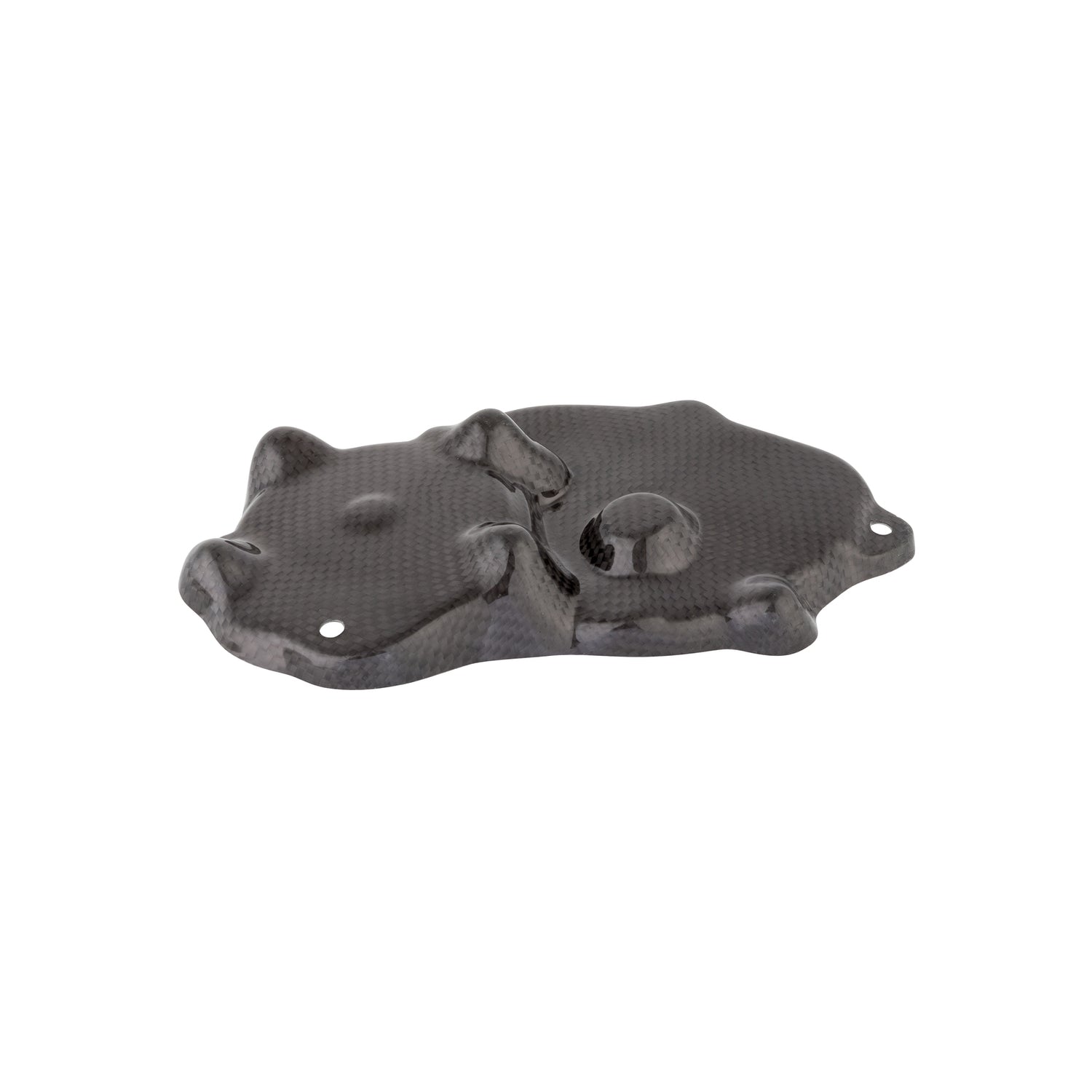 LIGHTECH Coperchio Pick Up In Carbonio per Kawasaki ZX636 2009