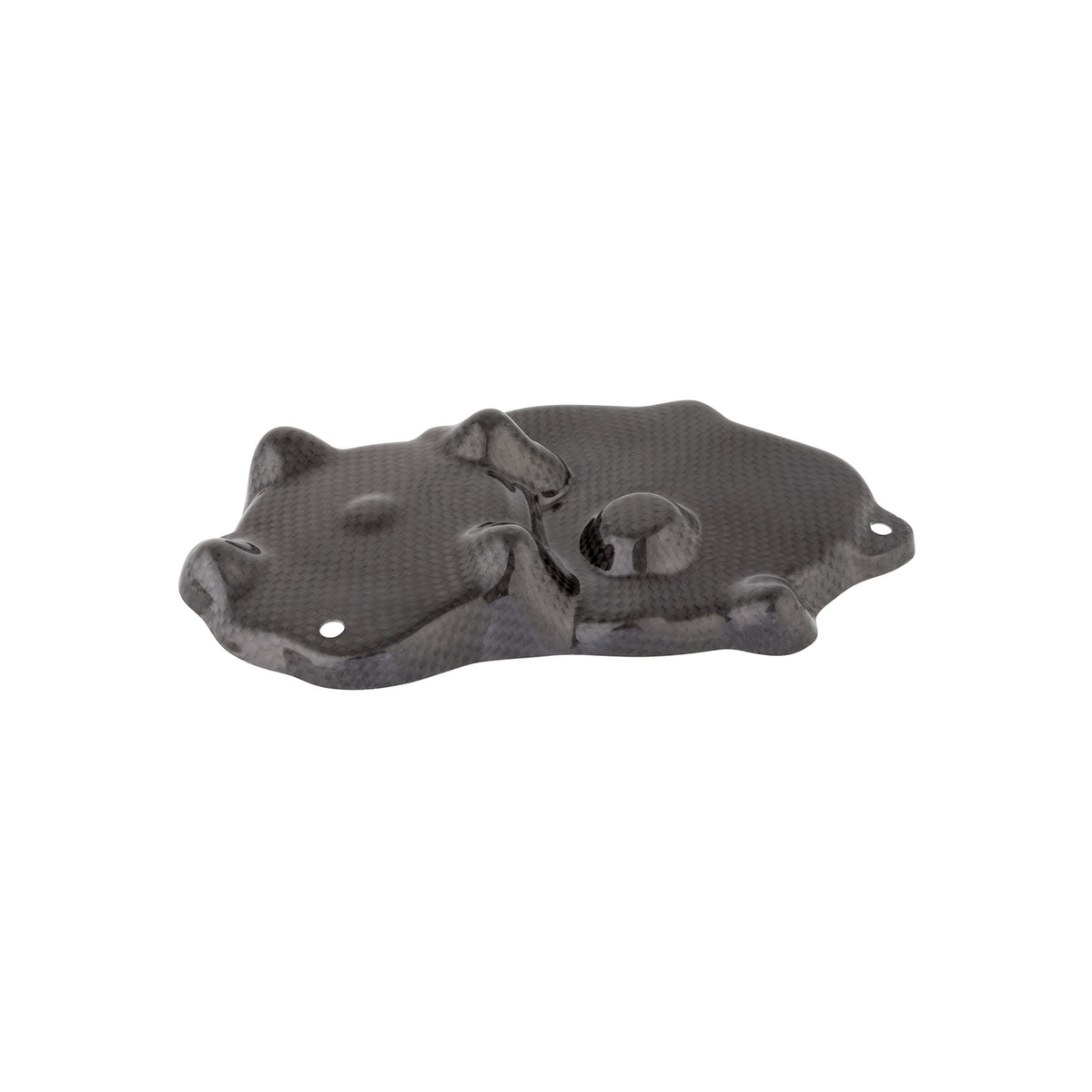 LIGHTECH Coperchio Pick Up In Carbonio per Kawasaki ZX636 2009