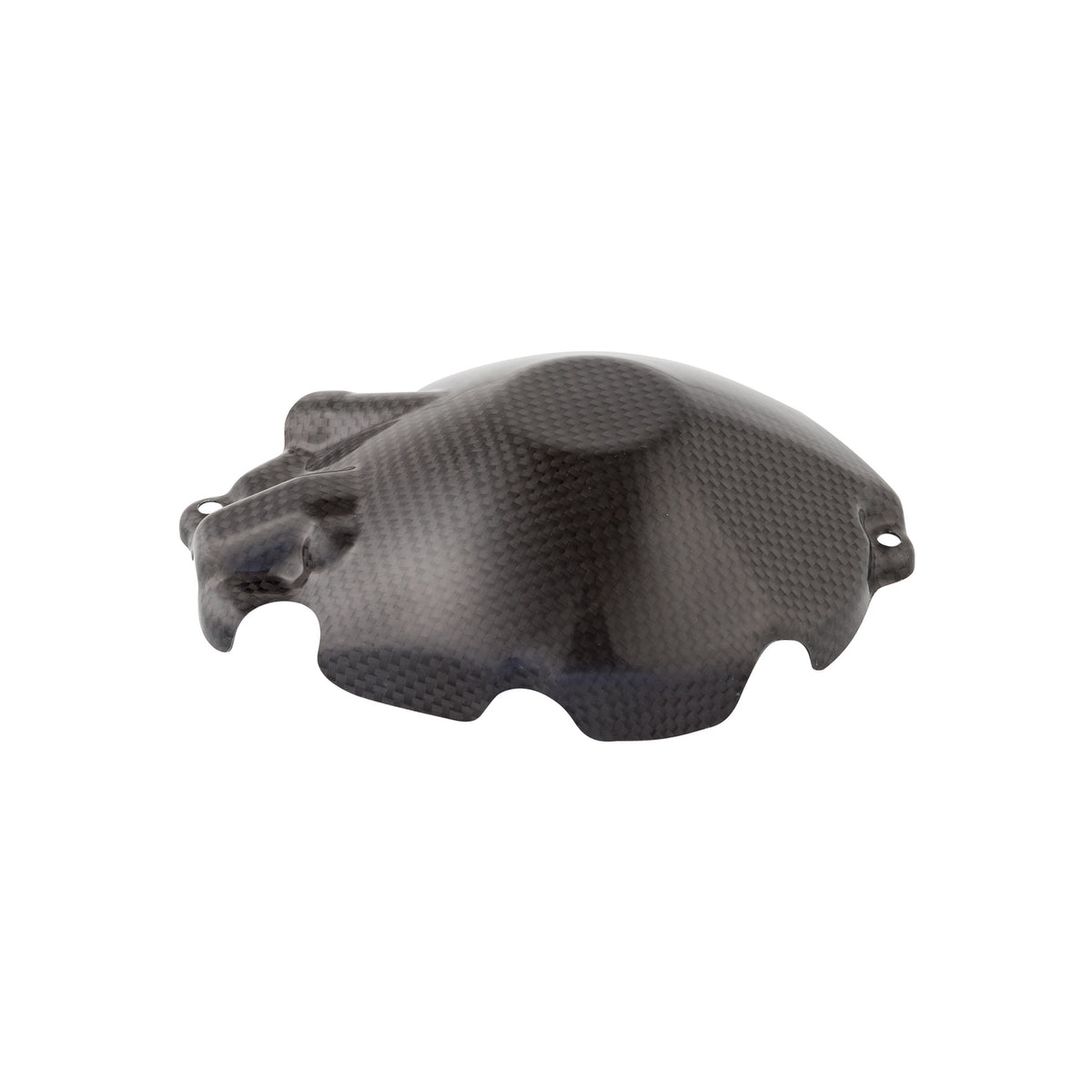 LIGHTECH Coperchio Alternatore In Carbonio per Suzuki GSX-R1000 2009