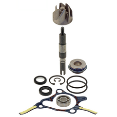 Kit revisione pompa acqua RMS Honda Foresight 250cc 1998  per HONDA FES 250 FORESIGHT 250 1998 - 1999