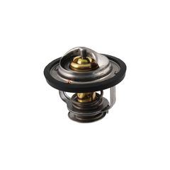 Termostato RMS Piaggio Porter 1.3  per PIAGGIO PORTER 1000-1300 PICK-VAN 1300 1992 - 2009