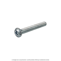 Vite testa cava esagonale RMS ISO 7380 M6x30
