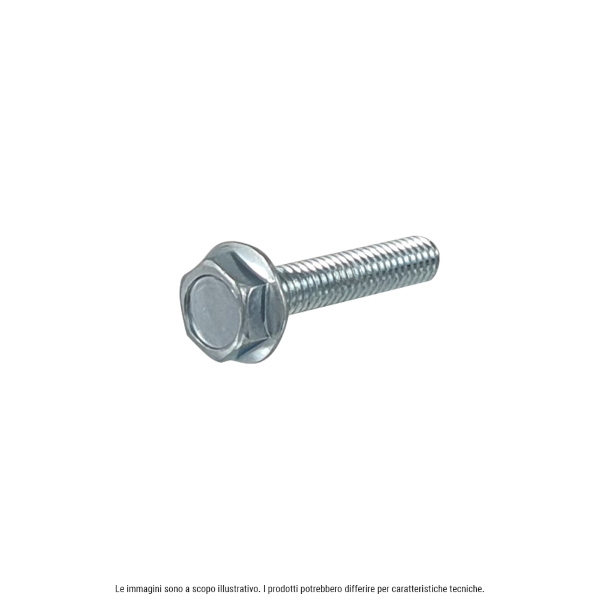 Vite zincata testa esagonale RMS con flangia M5X12