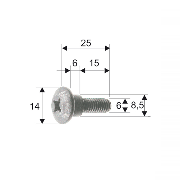 Vite carrozzeria RMS Classic Piaggio/Gilera 298086/575249