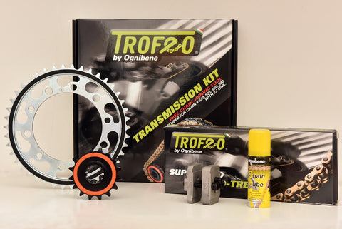 Kit Trasmissione Trofeo per HONDA CB 600 HORNET con attrezzo e spray catena