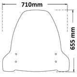 ISOTTA Parabrezza per SEGWAY E110 / 125 / 200S-SE / 300 - SC4316-T