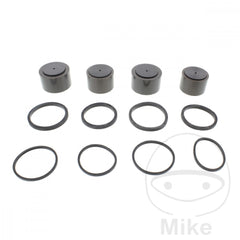 Kit Revisione Pinza Freno per BMW K 1200 R  5,5 pollici cerchione