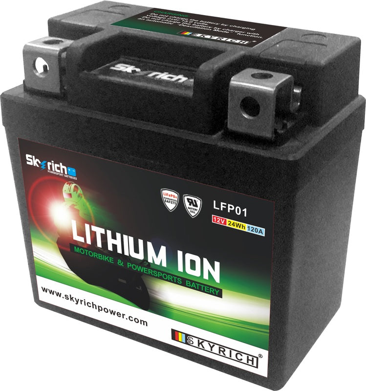 Batteria al litio Skyrich LFP01