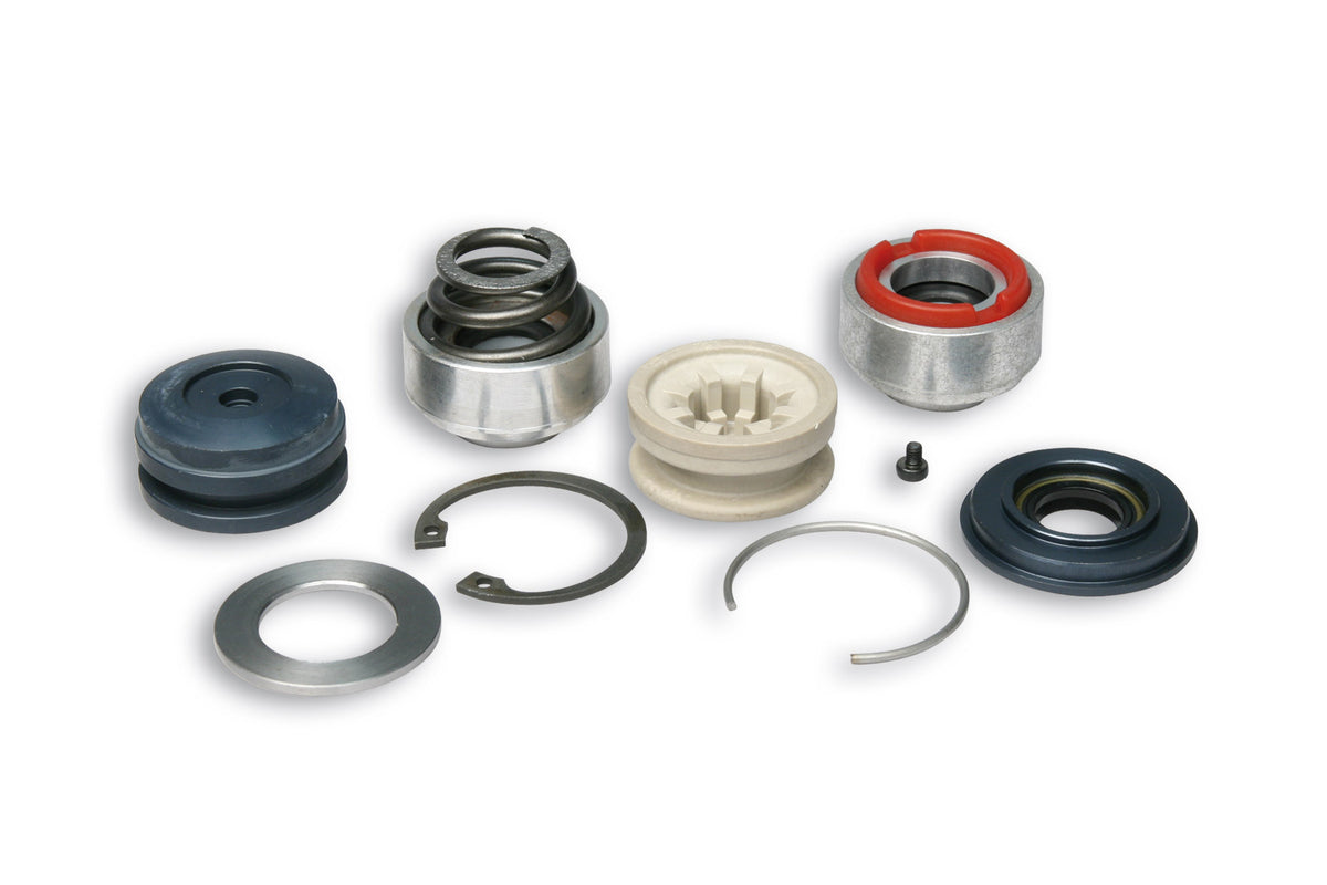 MALOSSI KIT REVISIONE (con BUSSOLE) per AMMORTIZZATORE
