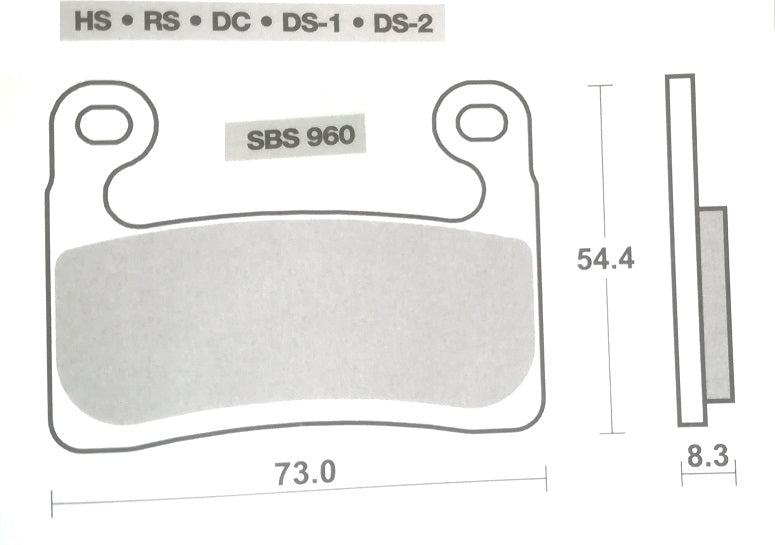 Pastiglie Freno Anteriori CP.PAST.FRENO per BMW R 1250 GS 2019-2023