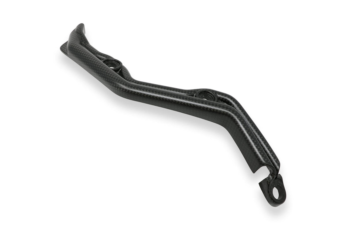 CNC RACING Passacavi forcellone Ducati Panigale - Carbonio opaco