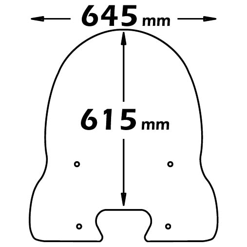 ISOTTA Parabrezza Classic per Piaggio Free 50-100 507