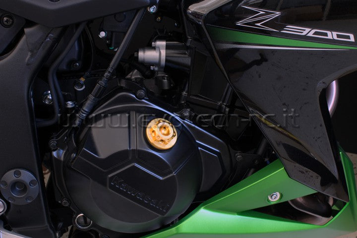 EVOTECH ERGAL OIL CAP KAWASAKI ZX10 R NINJA 636 Z 300 M30 x 1,5 GOLD