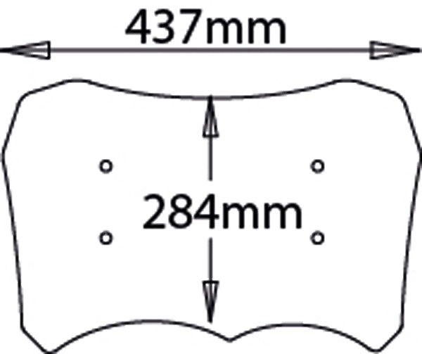 ISOTTA Lastra di ricambio INFERIORE per BMW R 1200 GS Adventure e Standard 2006 - 2013