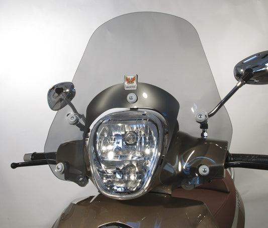ISOTTA Cupolino per PIAGGIO BEVERLY 125 e 300 / Beverly RST 350 600